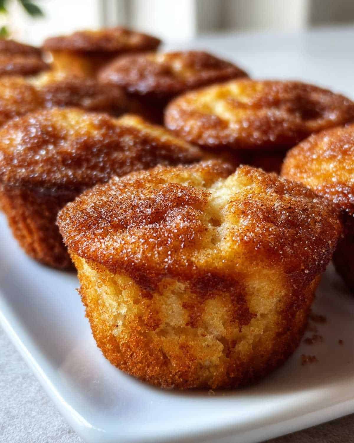 Mini Apple Cider Donut Muffins - detail 2