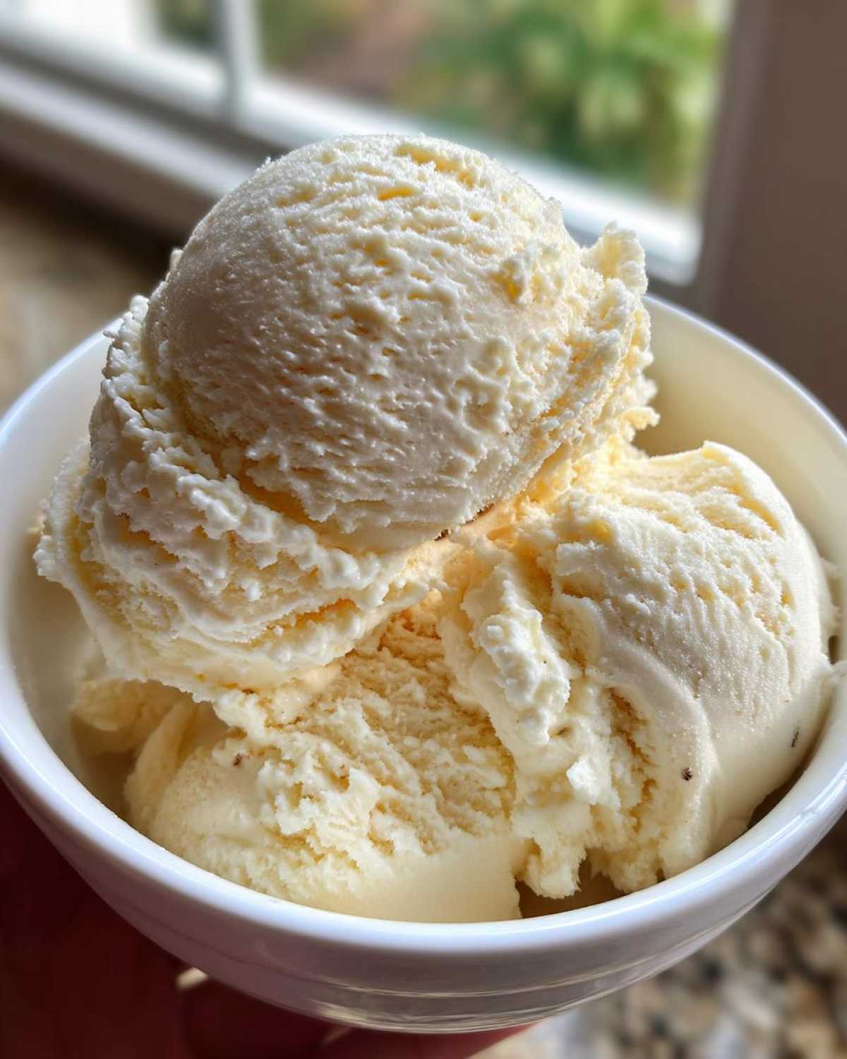 No-Churn Vanilla Bean Ice Cream - detail 2