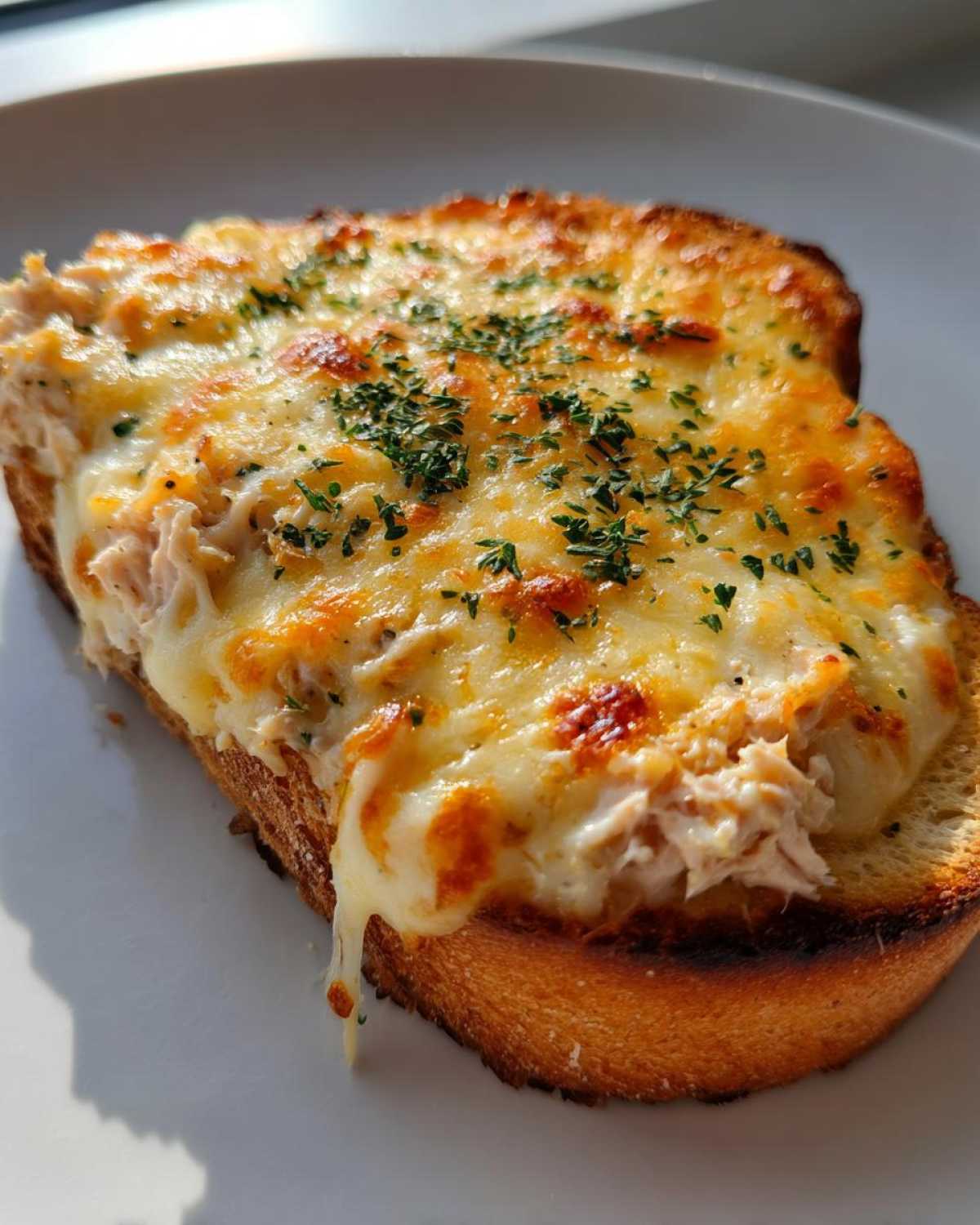 Open-faced tuna melt - detail 4