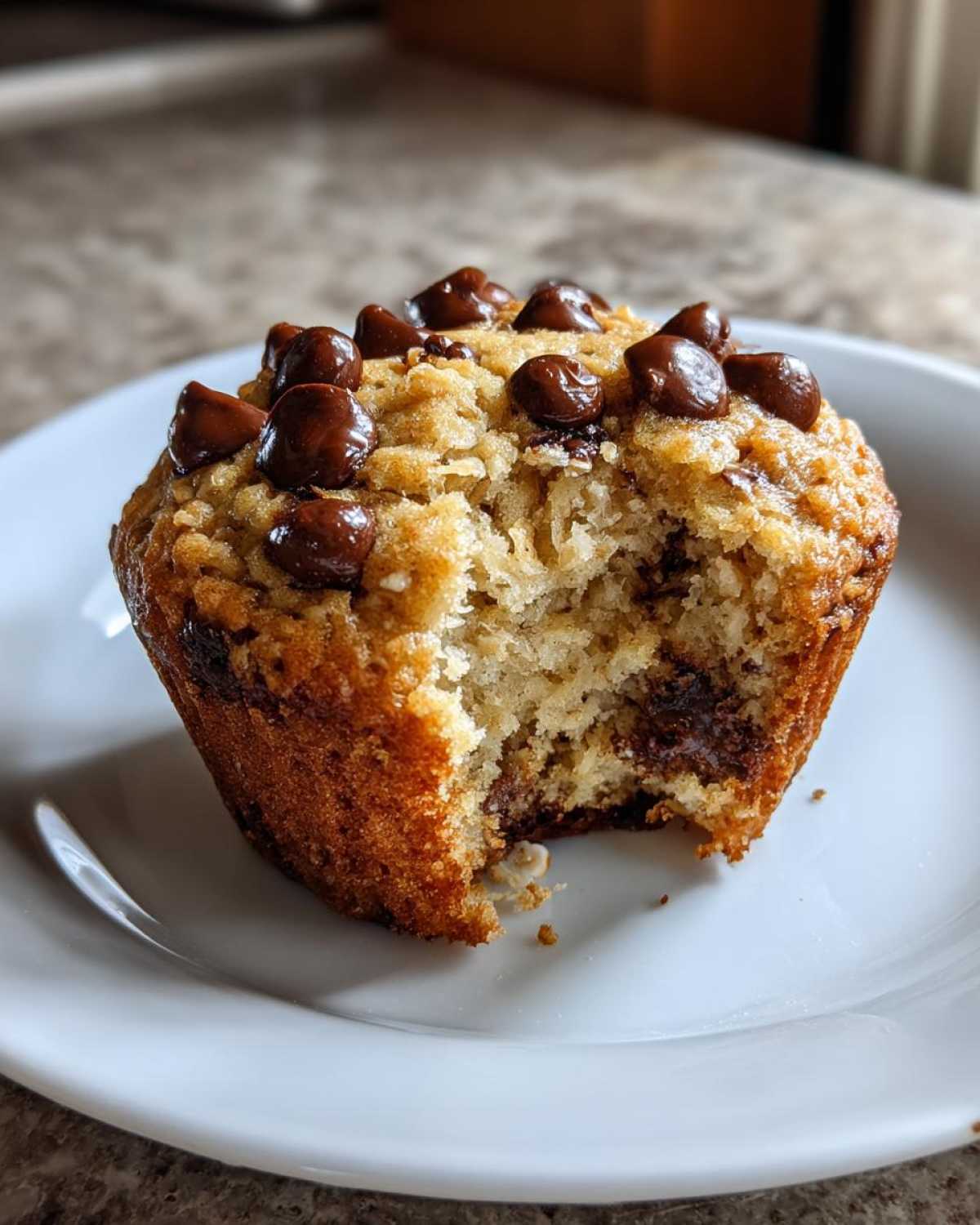 Oatmeal chocolate chip muffins - detail 1
