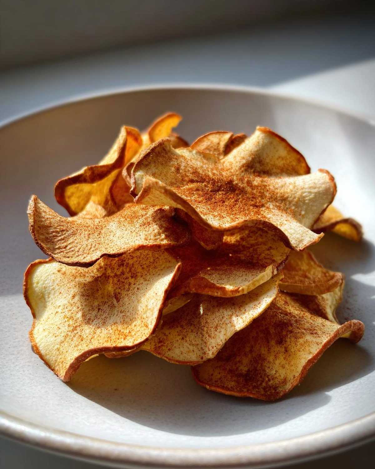 Baked Cinnamon Apple Chips - detail 4