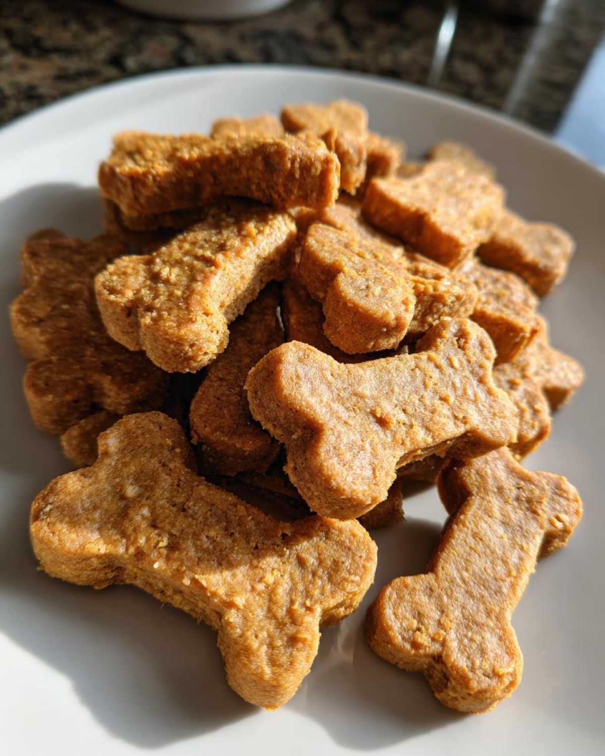 Homemade Peanut Butter Pumpkin Dog Treats - detail 3
