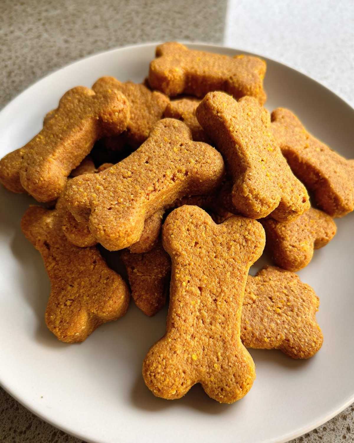 Homemade Peanut Butter Pumpkin Dog Treats - detail 1