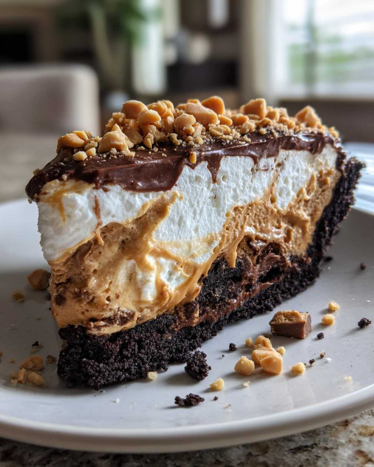 Peanut Butter Fudge Ice Cream Pie - detail 4