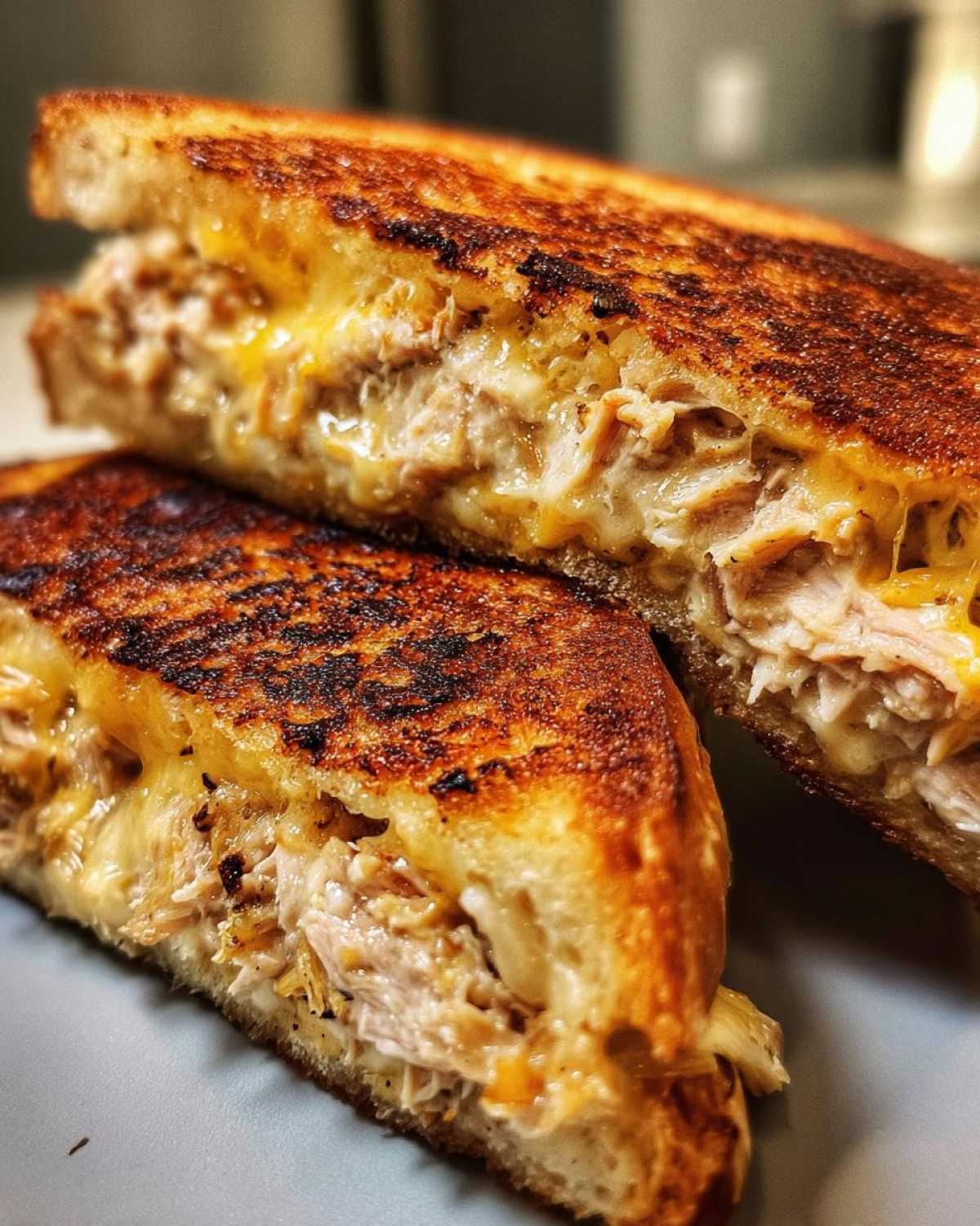 Grilled tuna sandwich - detail 1