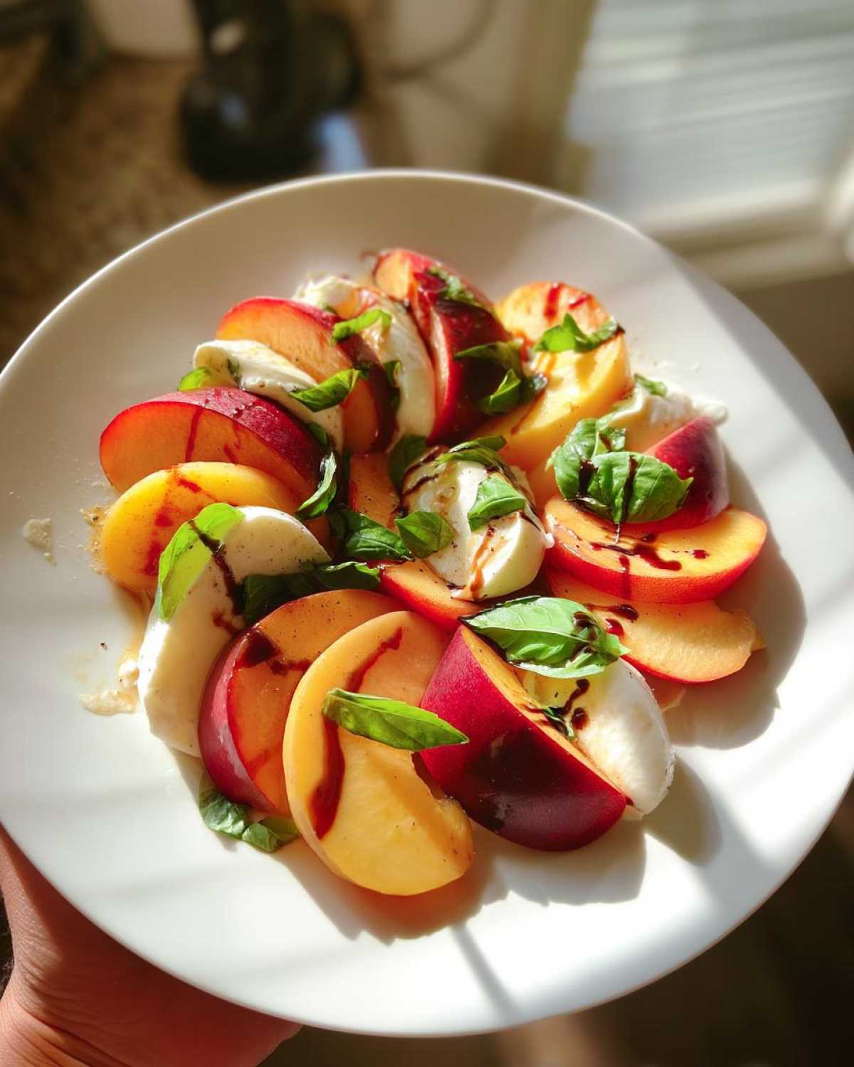 Stone Fruit Caprese Salad - detail 3