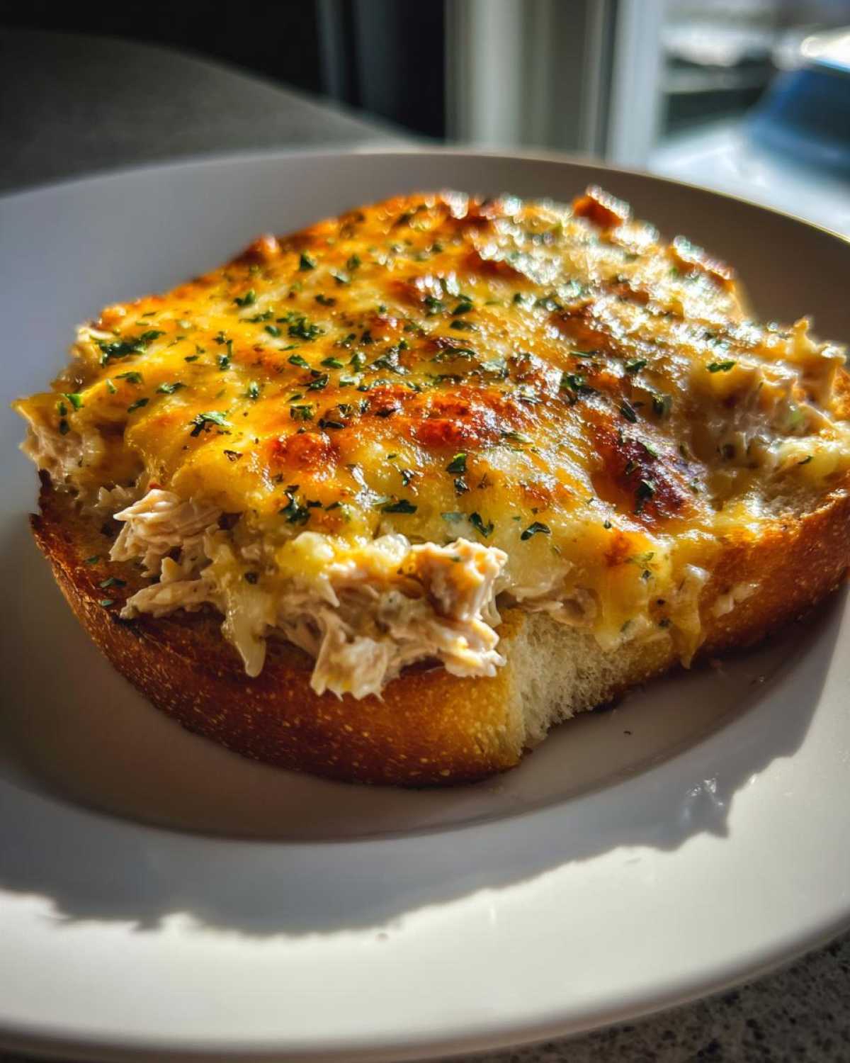 Open-faced tuna melt - detail 1