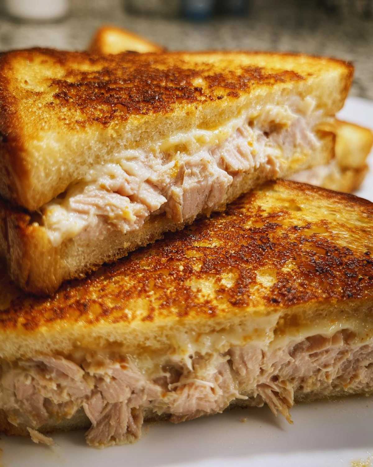 Grilled tuna sandwich - detail 2